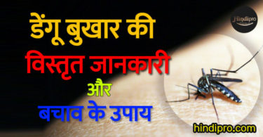 डेंगू बुखार की विस्तृत जानकारी और बचाव के उपाय | Dengue Fever & Home Treatment in Hindi