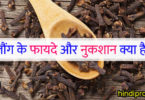 लौंग के फायदे और नुकशान क्या है ? laung ke fayde aur nuksan in hindi