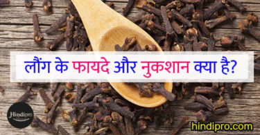 लौंग के फायदे और नुकशान क्या है ? laung ke fayde aur nuksan in hindi