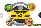 प्रोटीन वाला शाकाहारी आहार - vegetarian protein foods for-health in hindi