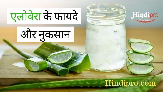 aloe vera benefits in hindi