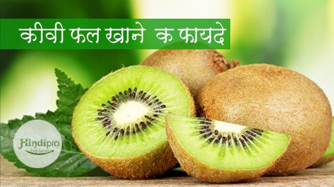 kiwi fruit benefits in hindi