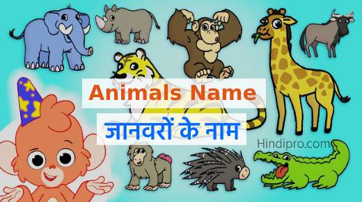 Animals Name: List Of Animals Name In English Hindi (जानवरों के नाम) •  Hindipro