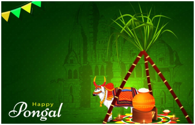 pongal wishes images