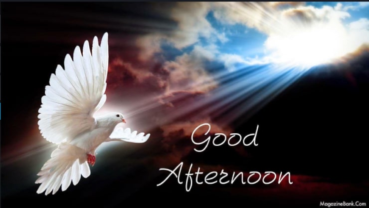 Good Afternoon Wishes images