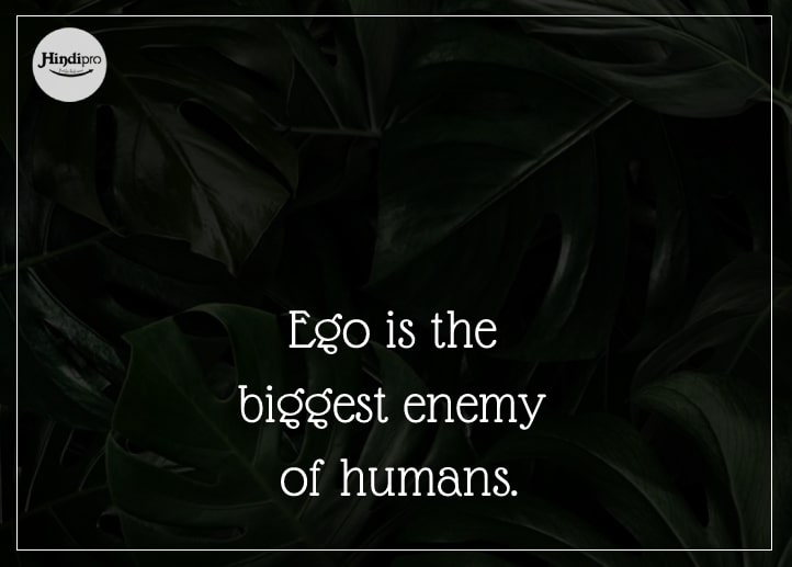 50 Best Ego Quotes • Hindipro