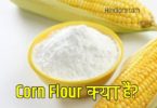 corn flour meaning in hindi