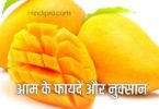 mango in hindi meaning