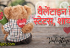 Happy Valentines Day 2019 Status Shayari - वैलेंटाइन डे स्टेटस शायरी