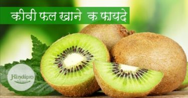 kiwi fruit benefits in hindi