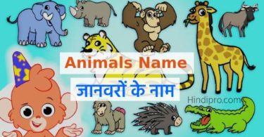 Animals Name In English-Hindi