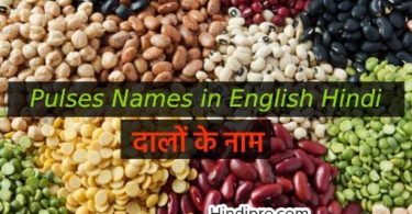 Pulses Names in English Hindi