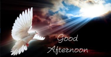 Good Afternoon Wishes images